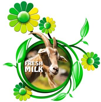 Symbol with a head of goat with horns, and text fresh milk, green and yellow flowers with leaves. Isolated on white background