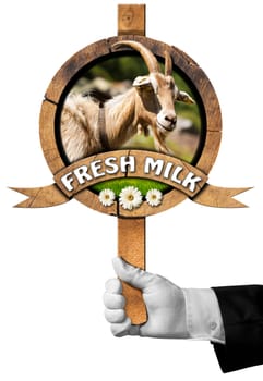 Hand of chef holding a wooden sign with head of goat with horns, green grass and daisy flowers, wooden ribbon with text Fresh milk. Isolated on white background