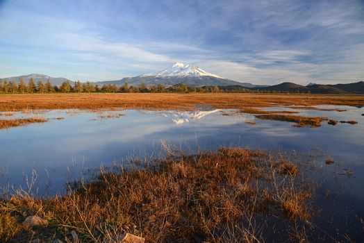 snow capped mount shasta with a blue sky