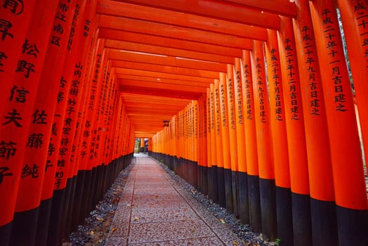 the famous japanese path with red gate called Fushimi Inari