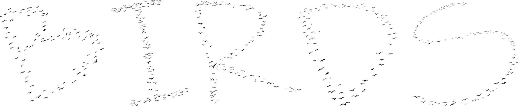Flock of birds illustration with white background