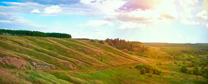 nature background with fresh grass and sky