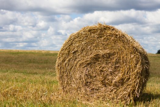 Agriculture straw gathered into a sheaf field sky harvest. Nature day sun