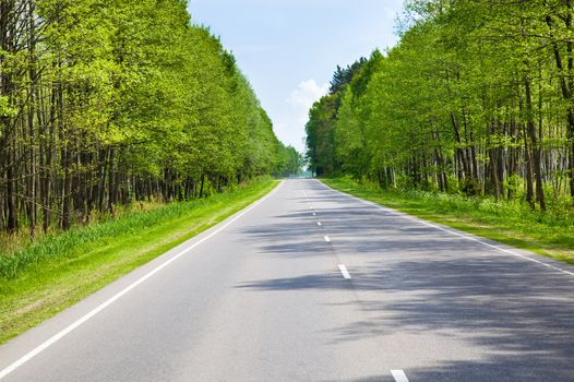 the asphalted road to summertime of year