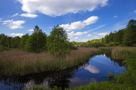   the small river proceeding in the territory of Republic of Belarus