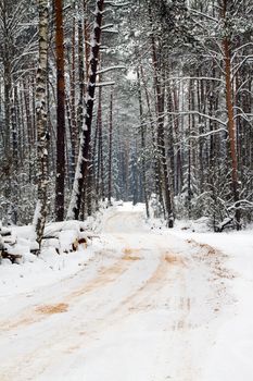 the road photographed in a winter season