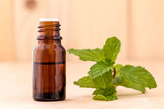 Bottle of mint essential oil on wooden background with selective focus.