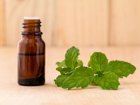 Bottle of mint essential oil on wooden background with selective focus.