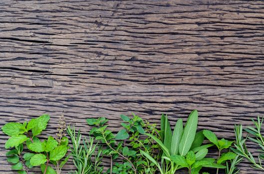 Fresh green herbs harvest from garden on wooden rustic background .