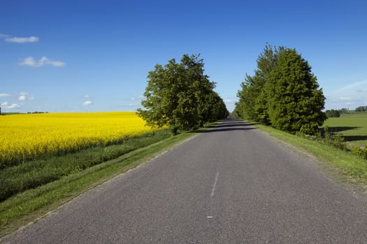   the asphalted highway in summertime of year.  