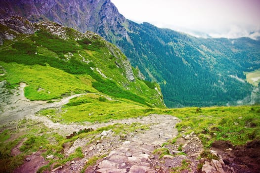 Fog in mountains. Colorfull nature landscape. Nature conceptual image.