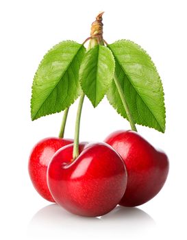 Three red cherries with leaves isolated on white