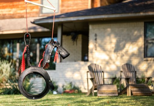 Horse Tire Swing front of the house