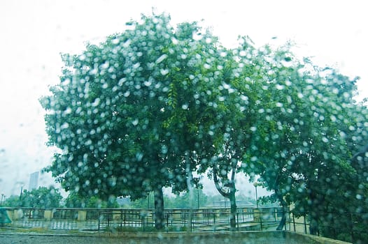 Rainy weather. Rain drops on the glass.