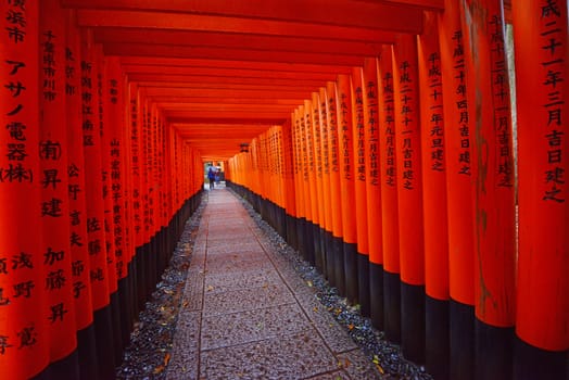 the famous japanese path with red gate called Fushimi Inari