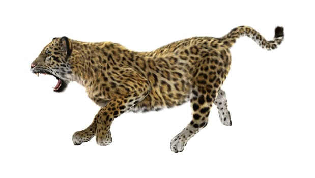 3D digital render of a big cat jaguar running isolated on white background