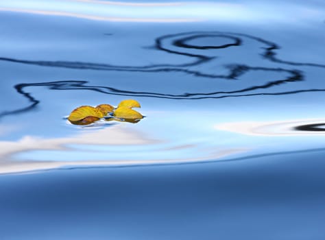 Reflexion on a lake in Denmark with blue colour