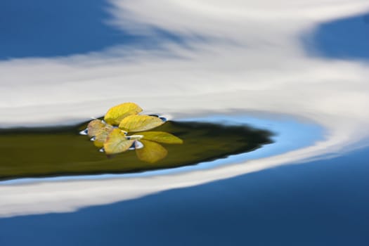Reflexion on a lake in Denmark with blue colour