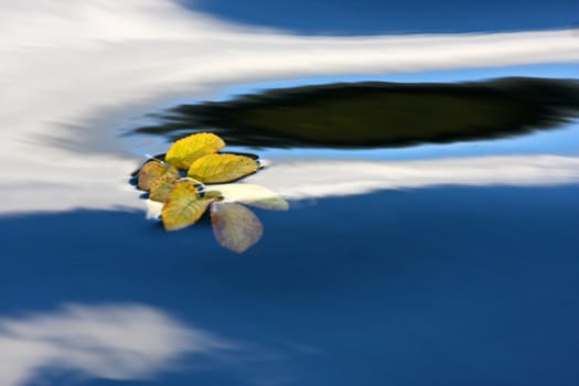 Reflexion on a lake in Denmark with blue colour