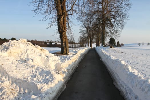 Path in the snow in winter in Denmark