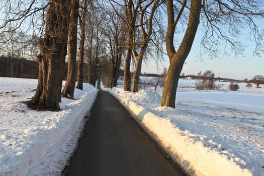 Path in the snow in winter in Denmark