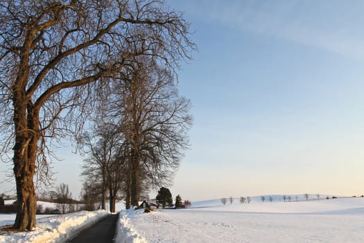 Path in the snow in winter in Denmark