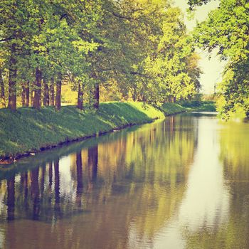 Greenwood on the Canal Bank in the Netherlands, Instagram Effect