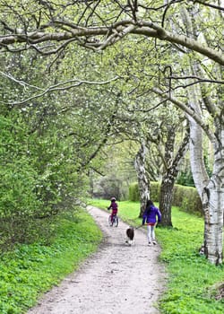 Family on a path in spring in Denmark