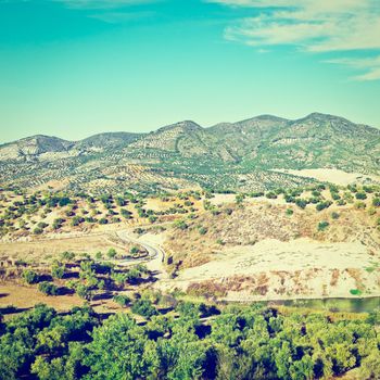 Pond for Irrigation among Olive Groves and Plowed Sloping Hills of Spain in the Autumn, Instagram Effect