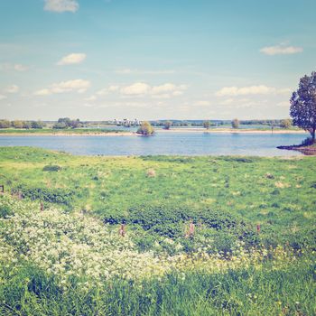 Pasture on the Banks of the Rhine in Holland, Instagram Effect