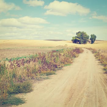 Dirt Road Leading to the Farmhouse in Tuscany, Italy, Instagram Effect