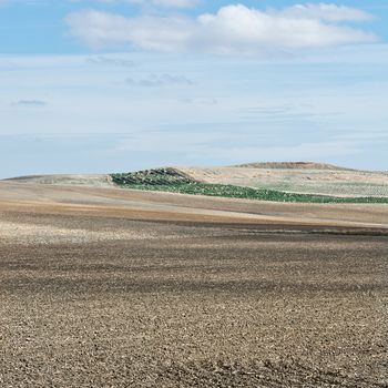 Plowed Sloping Hills of Spain in the Autumn on the Background of the Olive Groves