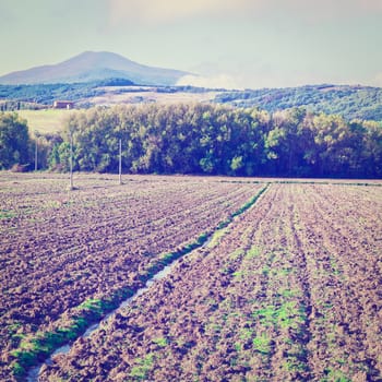 Plowed Sloping Hills of Tuscany in the Autumn, Instagram Effect