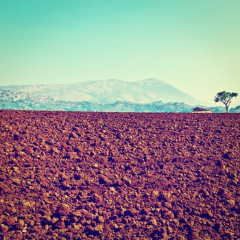 Plowed Sloping Fields of Tuscany in the Autumn, Instagram Effect