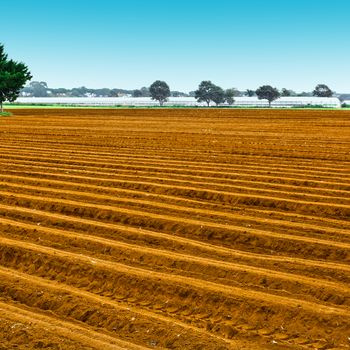 Plowed Fields on the Background of Greenhouse in Italy