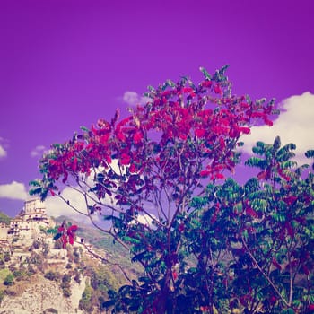 Red Leaves on the Background of Medieval Italian City on a Hilltop, Instagram Effect 