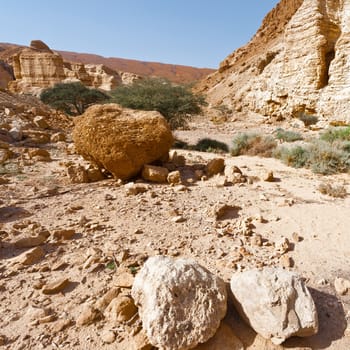 Canyon in the Judean Desert on the West Bank of the Jordan River