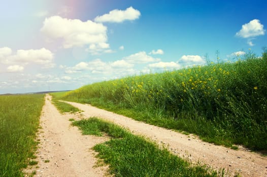 Country road between green field at summer and blue clean sky. Nature conceptual image.