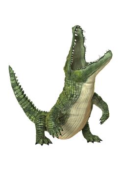 3D digital render of a green crocodile diving isolated on white background