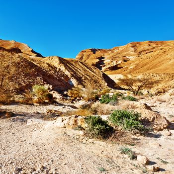 Canyon of the Negev Desert in Israel