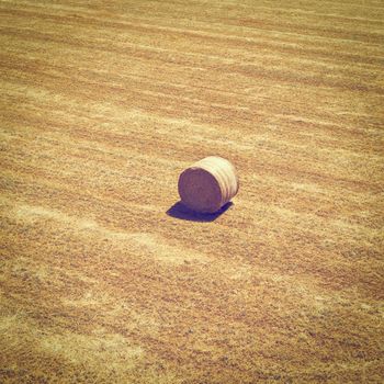 Landscape with Hay Bale, Instagram Effect 