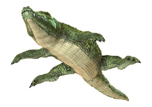 3D digital render of a green crocodile floating isolated on white background