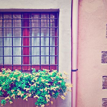 Window on the Facade of Italian House Decorated with Fresh Flower, Instagram Effect