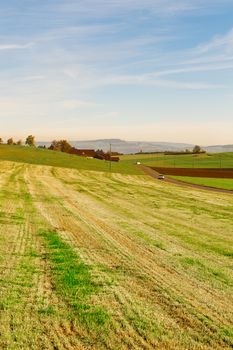 Asphalt Road along the Meadows on the Background of Alps in Switzerland