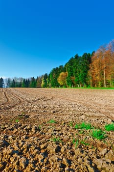 Plowed Fields Framed by Forest in Switzerland