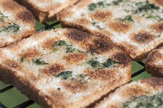 Grilled bruschetta with olive oil and rubbed with garlic