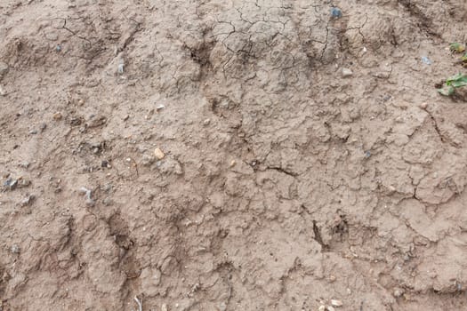 Dry agricultural brown soil detail natural background