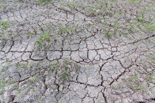 Dry cracked ground warming dryness infertile.