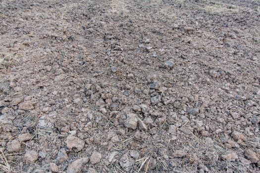 Rown soil of an agricultural field