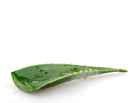 Aloe vera